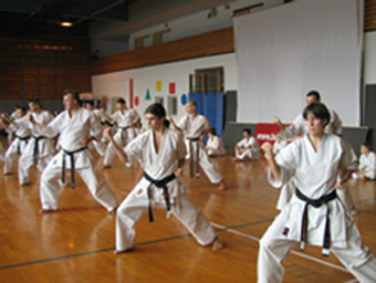 Instruktor Christoph Wohlfahrt 1. Dan Karate