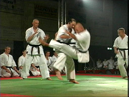 Karate Show-Vorführung 