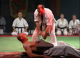 Karate Show-Vorführung 