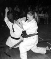 Karate-Show