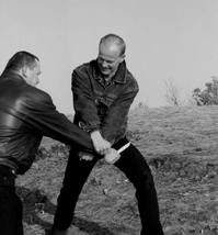 Professional Securiy