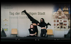 Karate Stunt Dance Show