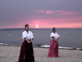 Samurai Schwertfechtkunst